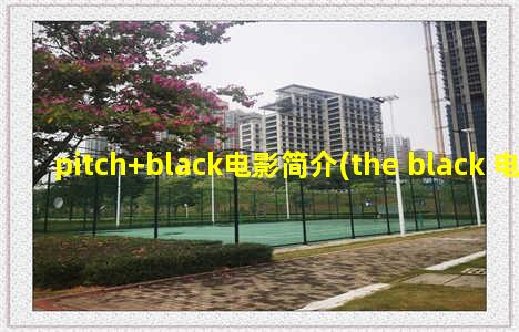 pitch+black电影简介(the black 电影)